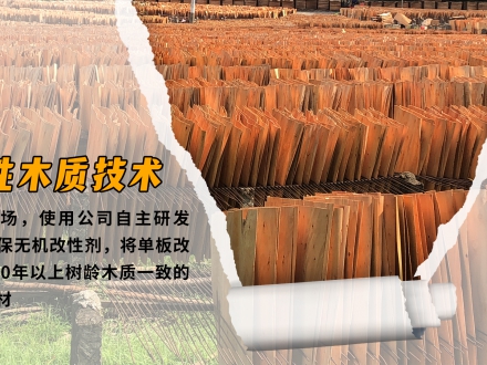 核心科技『改性木質(zhì)技術(shù)』