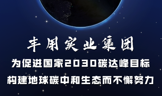 促進(jìn)2030碳達(dá)峰目標(biāo) | 木質(zhì)改性黑科技板材